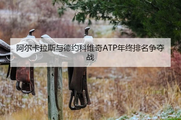 阿尔卡拉斯与德约科维奇ATP年终排名争夺战（bbsports）